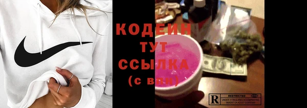 хмурый Алексин