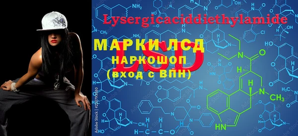 хмурый Алексин