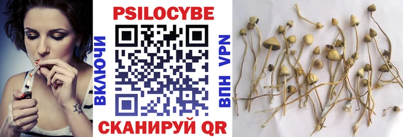 Галлюциногенные грибы Psilocybine cubensis  kraken ТОР  Жердевка  купить наркотик 